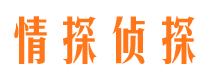 临桂外遇出轨调查取证